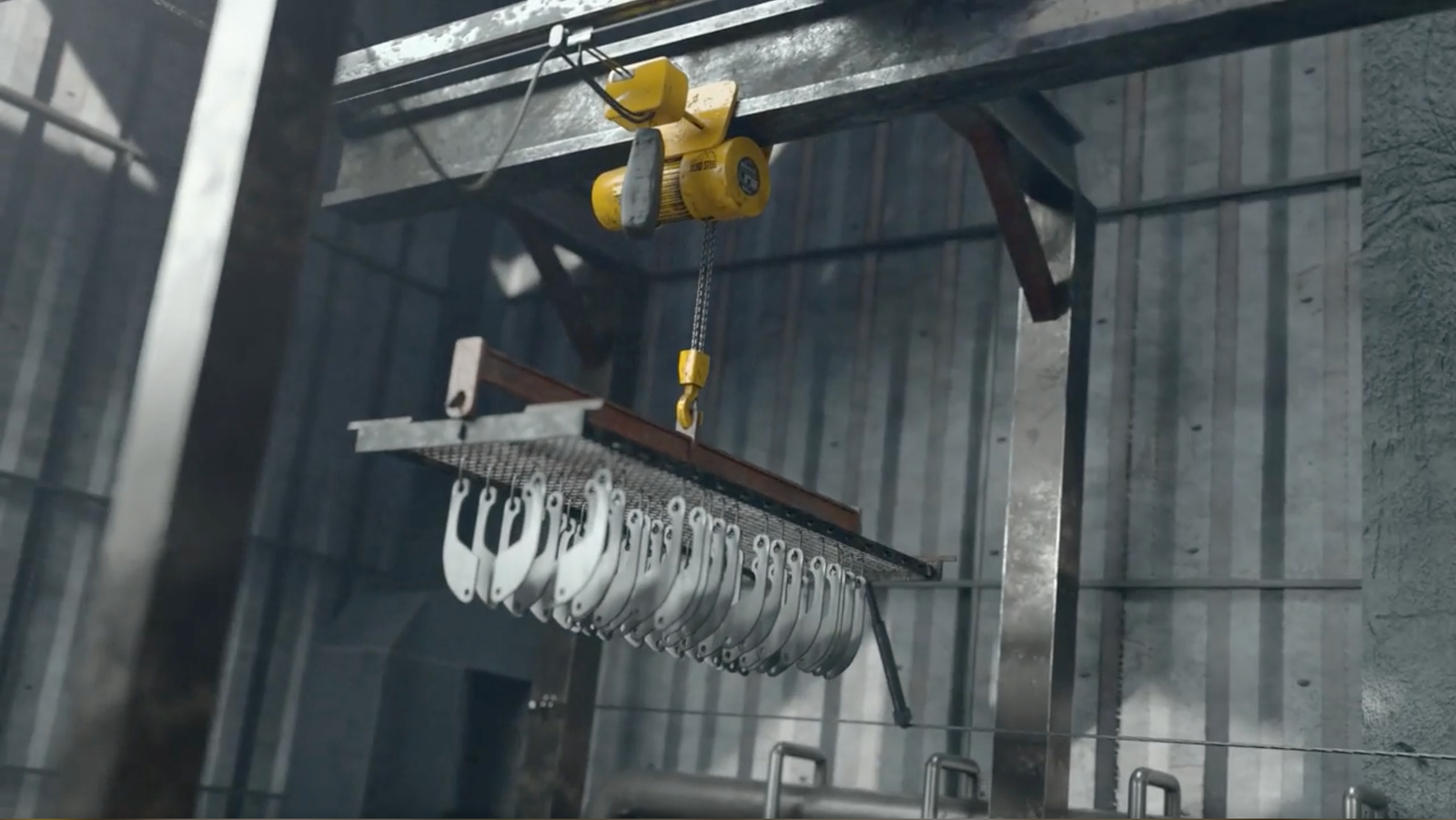 IMES chemical bath hoist